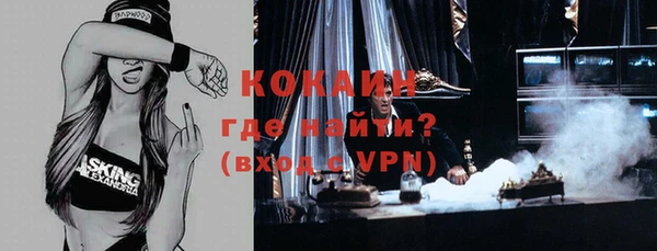 хмурый Гусев