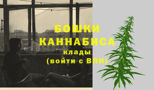 гидропоника Дмитриев