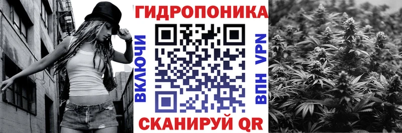 Бошки марихуана Amnesia  Купить закладки  Нижний Новгород 